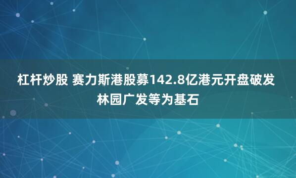 杠杆炒股 赛力斯港股募142.8亿港元开盘破发 林园广发等为基石