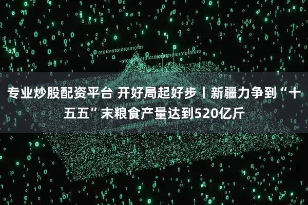 专业炒股配资平台 开好局起好步丨新疆力争到“十五五”末粮食产量达到520亿斤